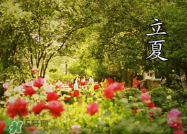 ?立夏是夏天嗎？?立夏是夏天的開始嗎？