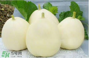 甜瓜可以帶上飛機(jī)嗎？坐飛機(jī)可以帶香瓜嗎？
