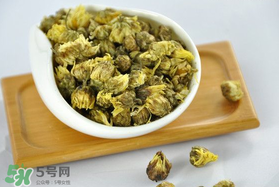立夏喝菊花好嗎？立夏能吃苦菊嗎？
