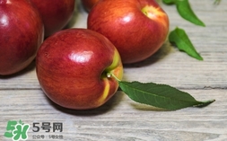 油桃什么時(shí)候成熟？油桃什么季節(jié)成熟