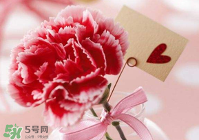 母親節(jié)要送婆婆禮物嗎？母親節(jié)要給婆婆買禮物嗎？