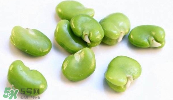 青蠶豆怎么保存？剝好的蠶豆怎么保存