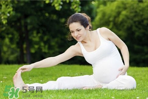 孕婦能做平板支撐嗎？孕婦能做哪些運動？