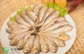 黃唇魚(yú)是黃花魚(yú)嗎？黃唇魚(yú)是黃魚(yú)嗎？