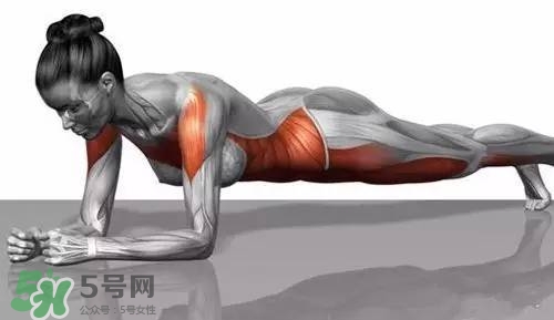 堅(jiān)持做一個(gè)月平板支撐會(huì)怎樣？女生做平板支撐一個(gè)月