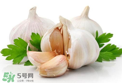 蒜頭能放冰箱嗎？蒜頭能放多久？