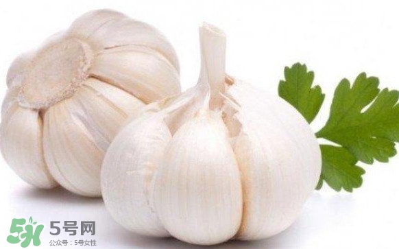 蒜頭發(fā)芽能吃嗎？蒜頭發(fā)芽可以吃嗎？