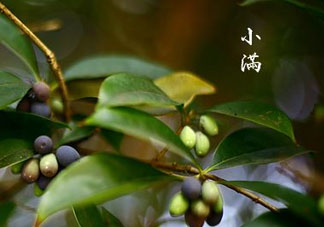 2017年小滿會(huì)下雨嗎？2017年小滿下雨好嗎？