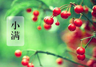 小滿是什么節(jié)氣？小滿是第幾個(gè)節(jié)氣？