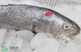 黃唇魚(yú)是黃花魚(yú)嗎？黃唇魚(yú)是黃魚(yú)嗎？