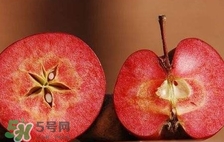 紅心蘋果多少錢一斤？紅肉蘋果價(jià)格