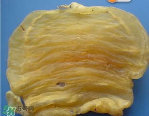 黃唇魚(yú)鰾一斤多少錢(qián)？黃唇魚(yú)鰾的藥用價(jià)值