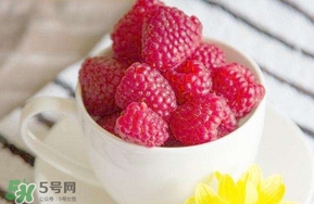 覆盆子是什么？覆盆子是樹莓嗎