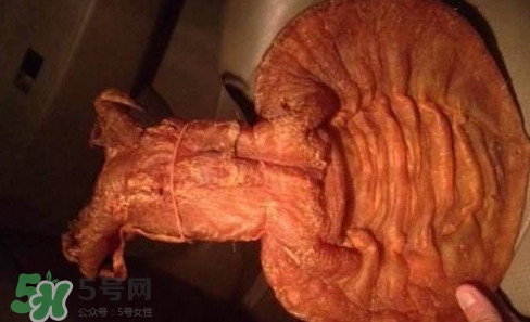 黃唇魚(yú)魚(yú)鰾是什么？魚(yú)鰾是魚(yú)的哪個(gè)部位