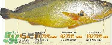 孕婦能吃金錢(qián)鱉嗎？懷孕期間能不能吃金錢(qián)鱉？