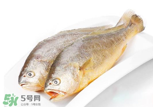 黃唇魚是不是黃花魚？黃唇魚和黃花魚的區(qū)別