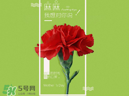 2017年母親節(jié)會打折嗎？2017年母親節(jié)有什么優(yōu)惠活動？