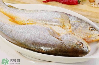 黃花魚多少錢一斤？野生黃花魚多少錢一斤