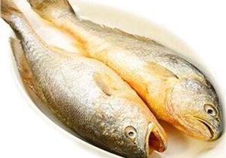 黃花魚多少錢一斤？野生黃花魚多少錢一斤