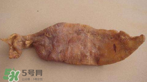 黃唇魚(yú)魚(yú)鰾是什么？魚(yú)鰾是魚(yú)的哪個(gè)部位
