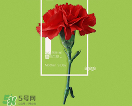母親節(jié)送什么禮物給老婆？2017年母親節(jié)送老婆禮物推薦