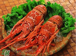 什么時(shí)候釣龍蝦最好？龍蝦幾月份能釣？