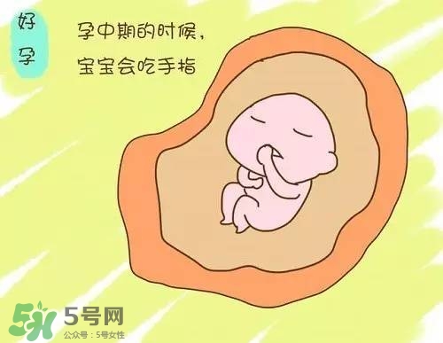 胎兒在媽媽肚子里都會干啥？胎兒的神奇世界