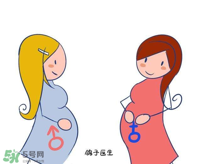 怎么問醫(yī)生胎兒性別？醫(yī)生會告訴胎兒性別嗎？