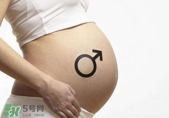 怎么問醫(yī)生胎兒性別？醫(yī)生會告訴胎兒性別嗎？