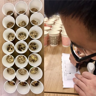 麥片什么牌子好？進(jìn)口麥片哪個(gè)牌子好吃