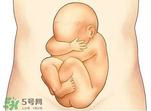 胎兒在媽媽肚子里都會干啥？胎兒的神奇世界