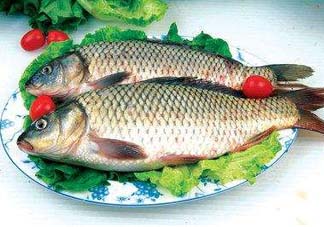 ?五月份吃什么魚？5月份吃什么魚？