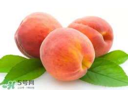 桃子為什么不能和西瓜一起吃？桃子和西瓜為什么不能一起吃？