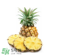 孕婦能吃菠蘿嗎？菠蘿孕婦能不能吃？