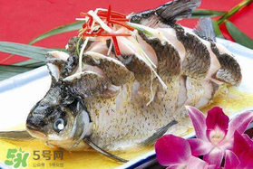 ?五月份吃什么魚？5月份吃什么魚？