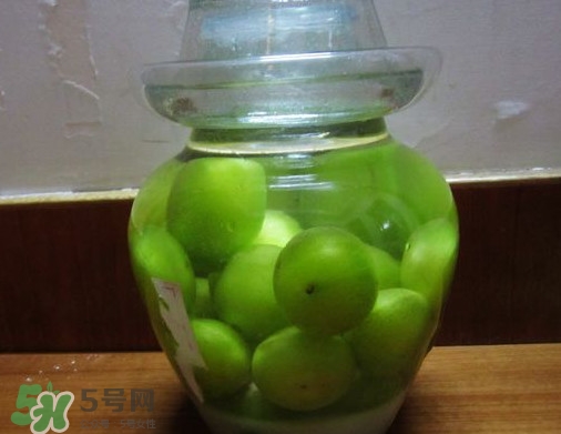 三華李可以泡酒嗎？三華李可以多吃嗎？