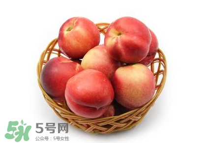 三華李可以泡酒嗎？三華李可以多吃嗎？