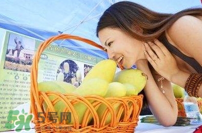 生理期可以吃芒果嗎？女性經期可不可以吃芒果