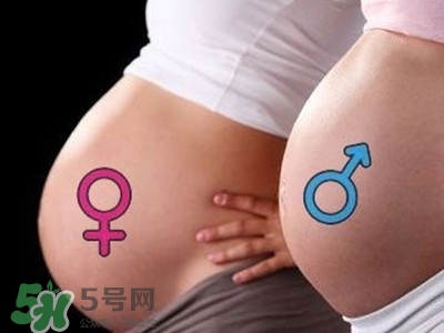 B超單數據怎么看男女？B超單看男女準嗎？