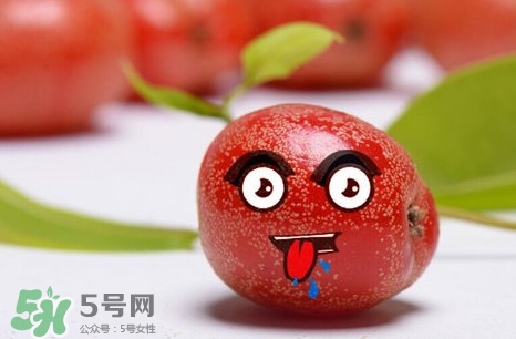 羊奶子有什么藥用價值？羊奶子有什么功效