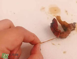 周黑鴨小龍蝦好吃嗎？周黑鴨小龍蝦試吃評(píng)測(cè)