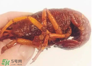 周黑鴨小龍蝦好吃嗎？周黑鴨小龍蝦試吃評(píng)測(cè)