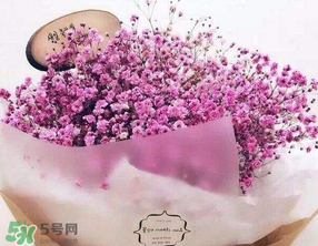 母親節(jié)可以送滿天星嗎？母親節(jié)能送滿天星嗎？