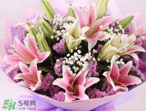 百合花多少錢(qián)一支2017？百合花多少錢(qián)一束2017？