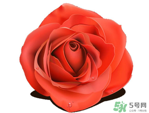 母親節(jié)送什么顏色的玫瑰花？母親節(jié)送幾朵玫瑰花？