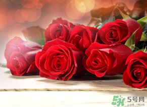 母親節(jié)送什么顏色的玫瑰花？母親節(jié)送幾朵玫瑰花？