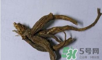 土瓜根是什么？土瓜根粉哪里有賣的？