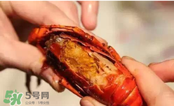 周黑鴨小龍蝦怎么吃？周黑鴨小龍蝦怎么吃圖解？