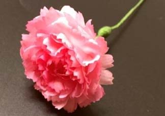 母親節(jié)可以送紙做的康乃馨嗎？康乃馨怎么折？