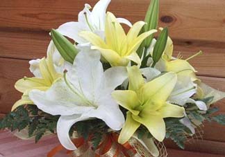 百合花多少錢一支2017？百合花多少錢一束2017？